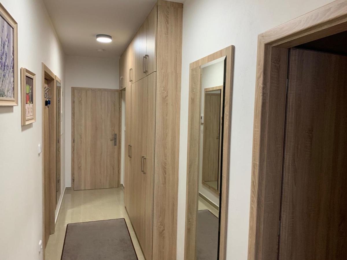 Apartment Rezidence - Javor & Wellness Železná Ruda Eksteriør bilde