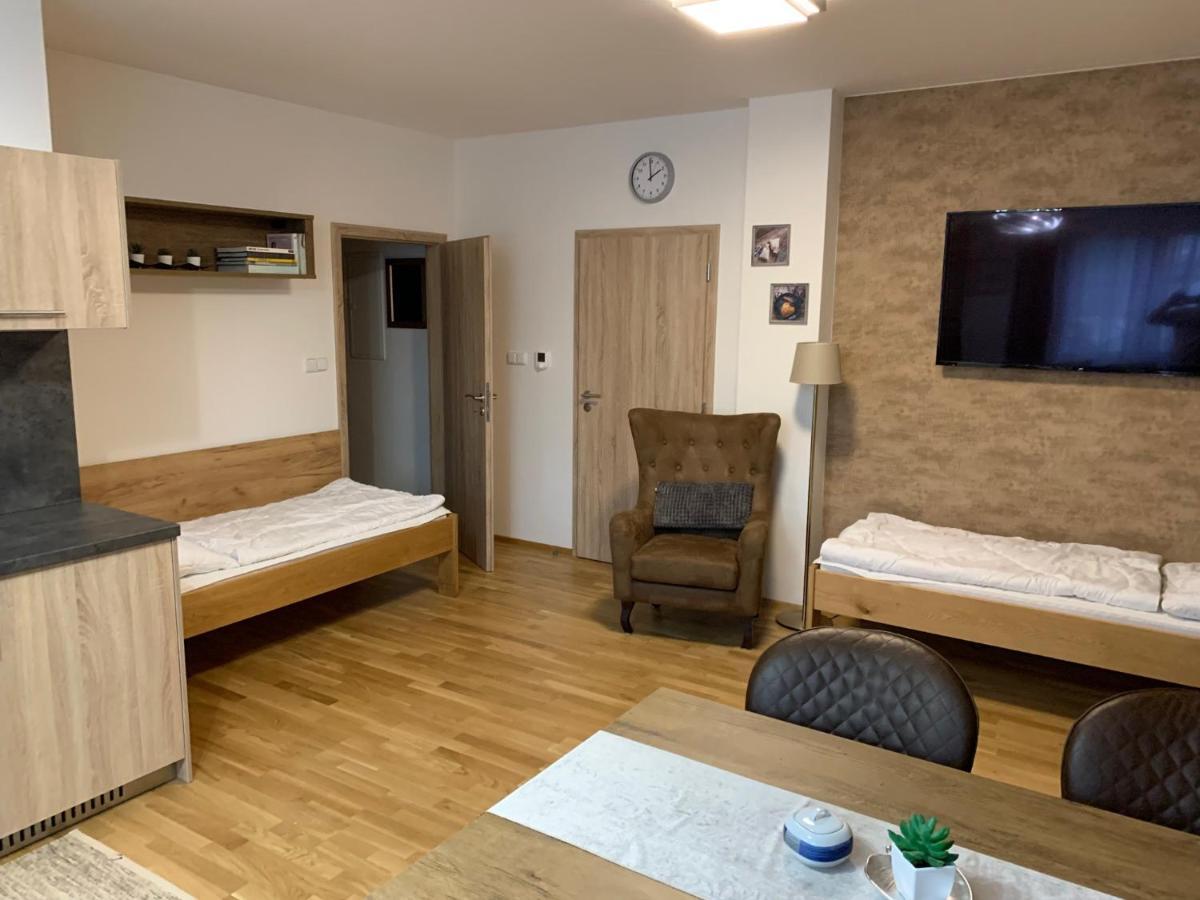 Apartment Rezidence - Javor & Wellness Železná Ruda Eksteriør bilde