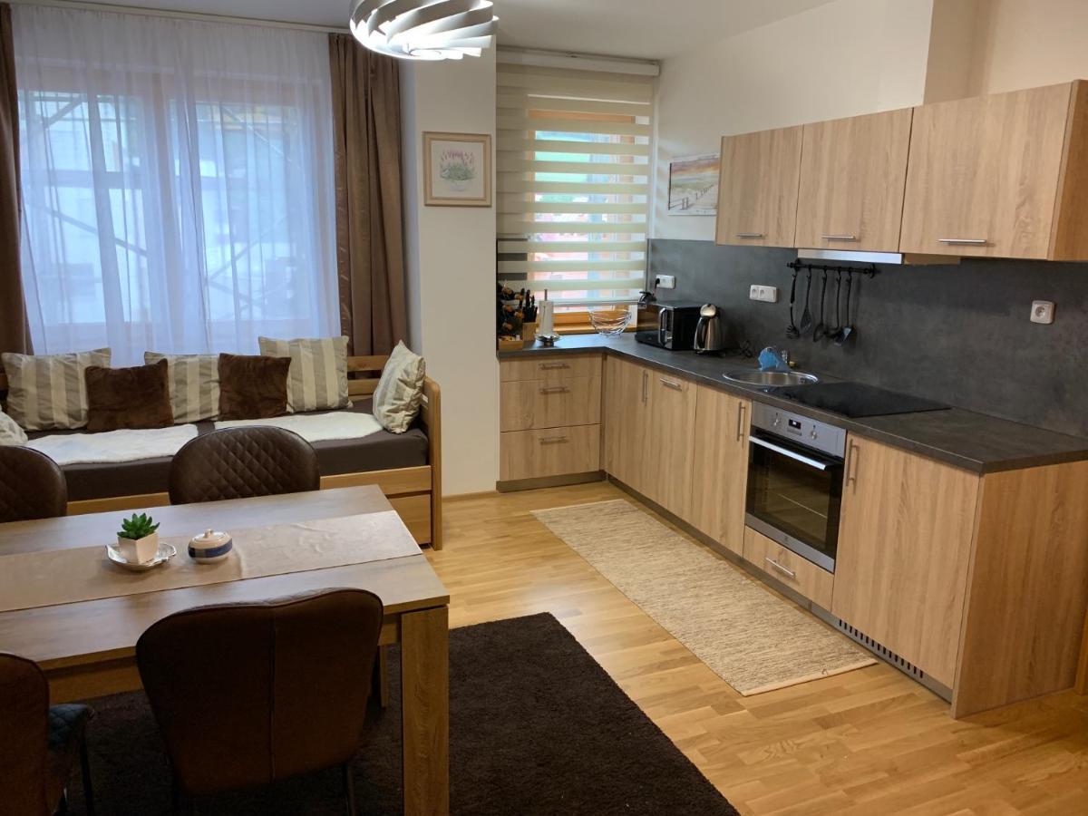 Apartment Rezidence - Javor & Wellness Železná Ruda Eksteriør bilde